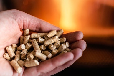 qu'est ce qu'un pellet - alegri
